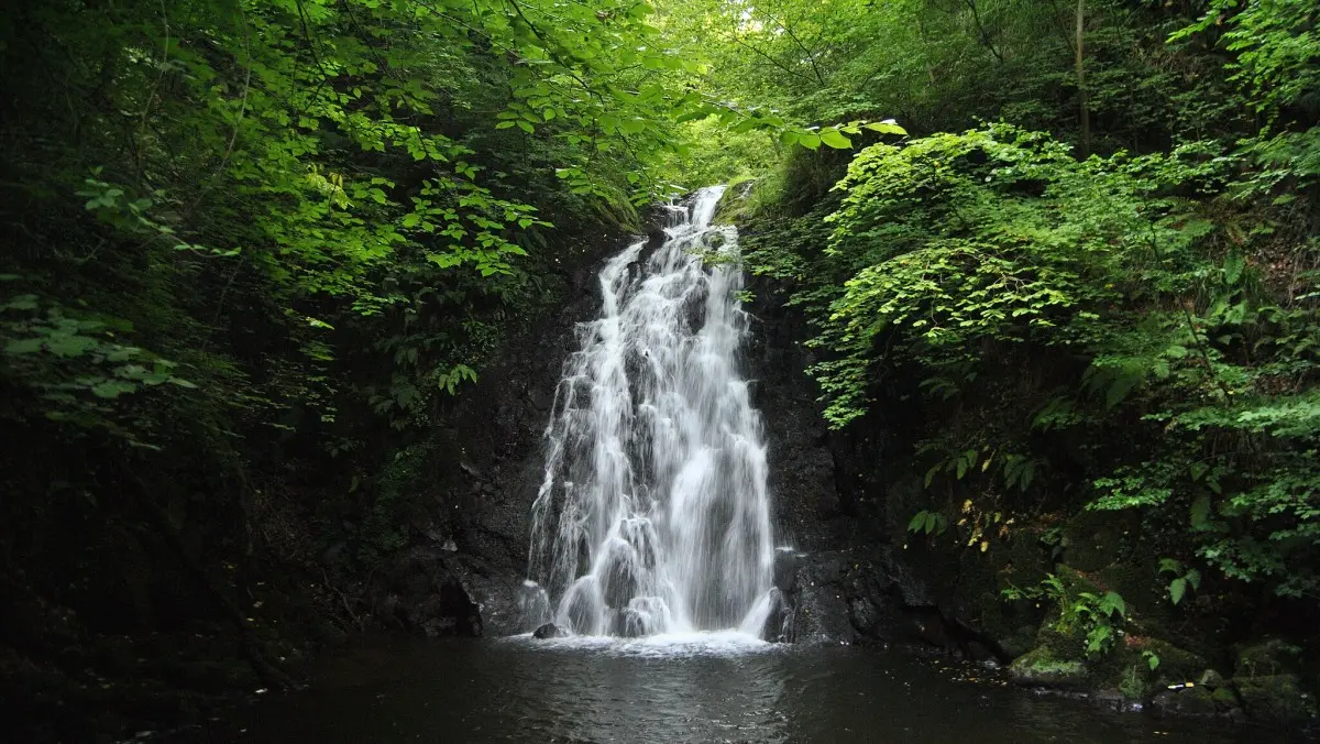 Glenoe Waterfall