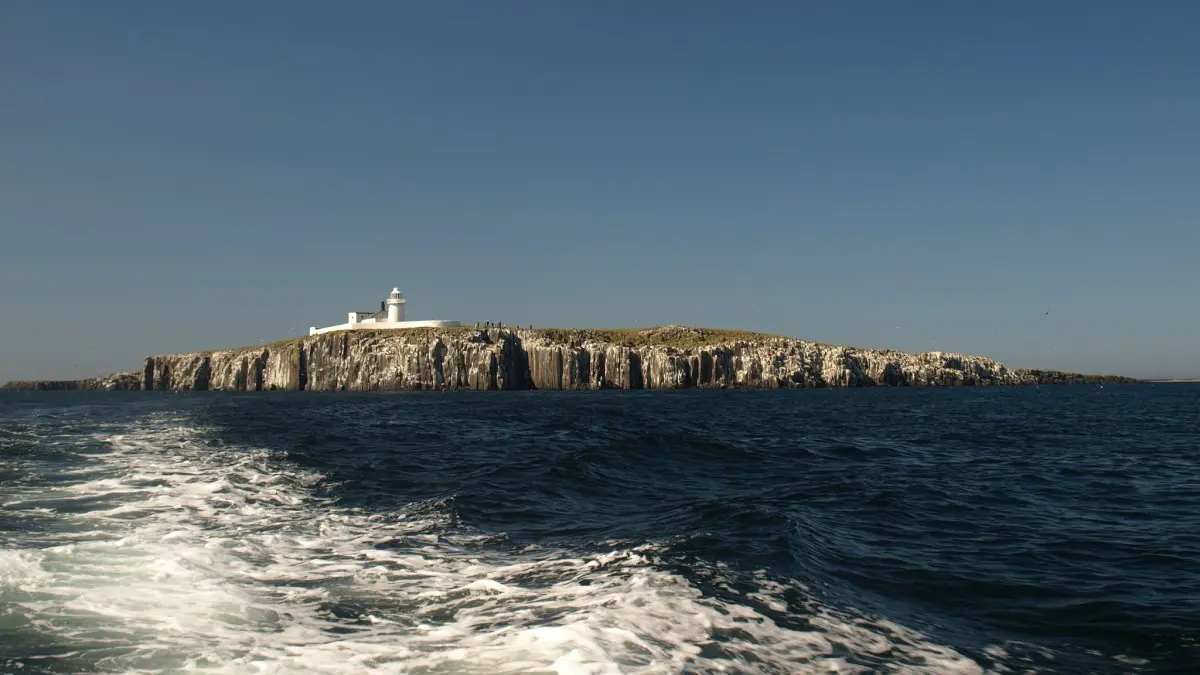 The Farne Islands