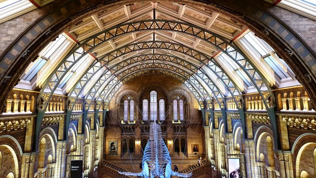 The Natural History Museum