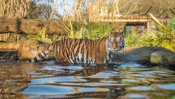 Paradise Wildlife Park