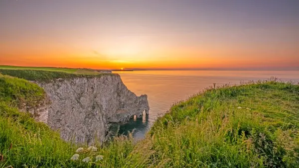 RSPB Bempton Cliffs