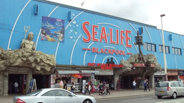 SEA LIFE Blackpool