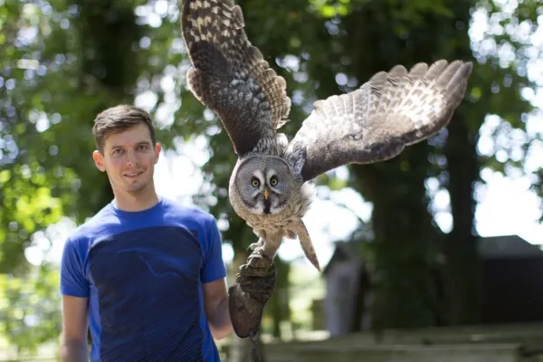 Hawk Conservancy Trust – Explore Britain